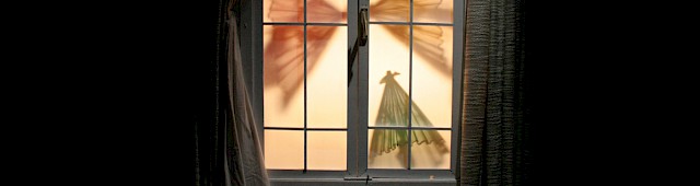 Una notte da detective