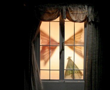 Una notte da detective