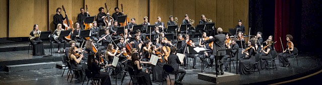 Orchestra del Teatro Olimpico