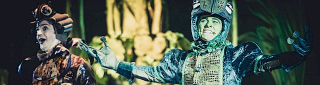 Il Principe Ranocchio - Il Musical