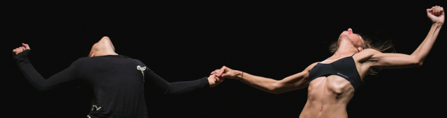 Punk. Kill me please