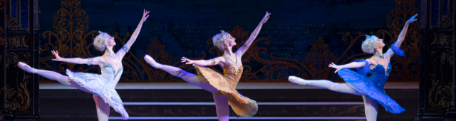 La bella addormentata