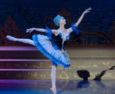 La bella addormentata