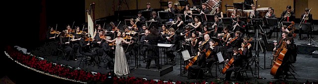 Gran concerto di San Silvestro