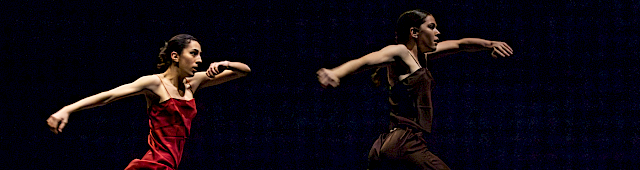 Last Movement of Hope - II capitolo - organi  |  Nella neve