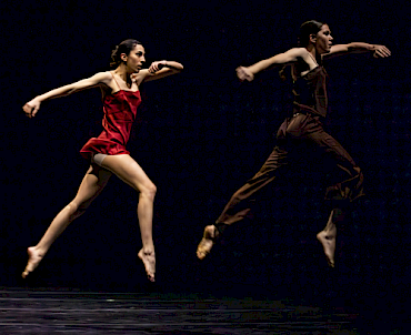 Last Movement of Hope - II capitolo - organi  |  Nella neve