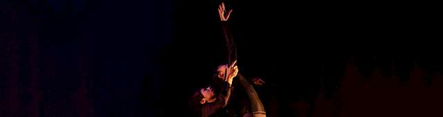 RAVEN + LIGHTS | MARY