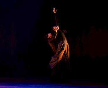 RAVEN + LIGHTS | MARY