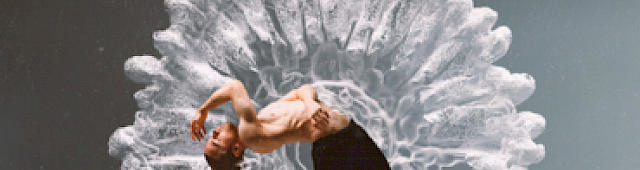 Danza in Rete Festival