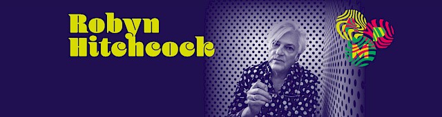 Robyn Hitchcock