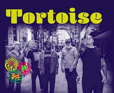 Tortoise