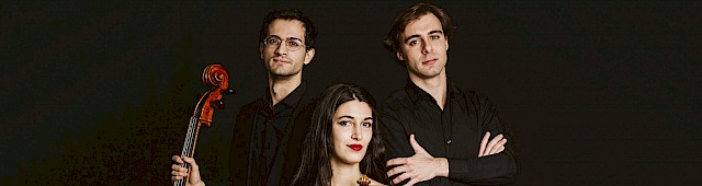 Trio Kobalt