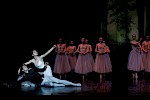 Giselle