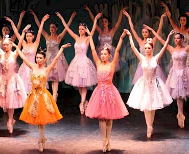 La bella addormentata