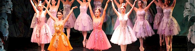 La bella addormentata