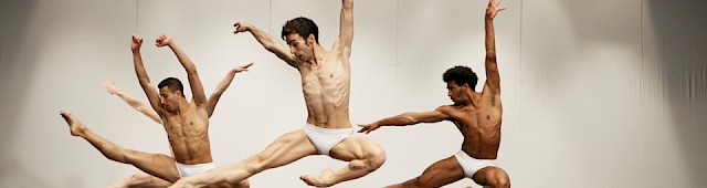 Biblioteca del Corpo