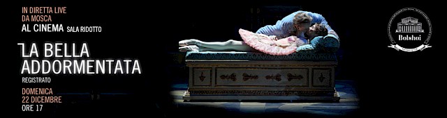 La bella addormentata nel bosco