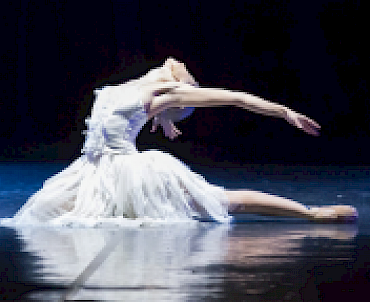 Il Lago dei Cigni, ovvero il Canto