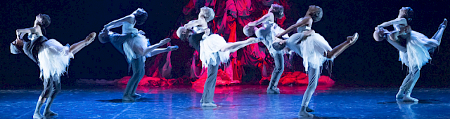 Il Lago dei Cigni, ovvero il Canto