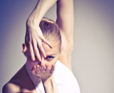 Gala con i solisti dell'Opera di Vienna