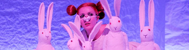 La misteriosa scomparsa di W