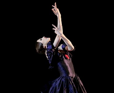 LA SIGNORA DELLE CAMELIE