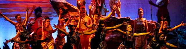 Re Leone - il musical