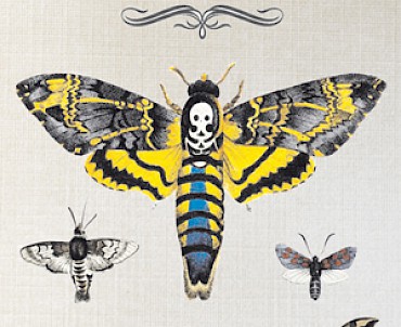 Turandot, principessa falena