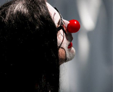 Metamorfosi / scatola nera  